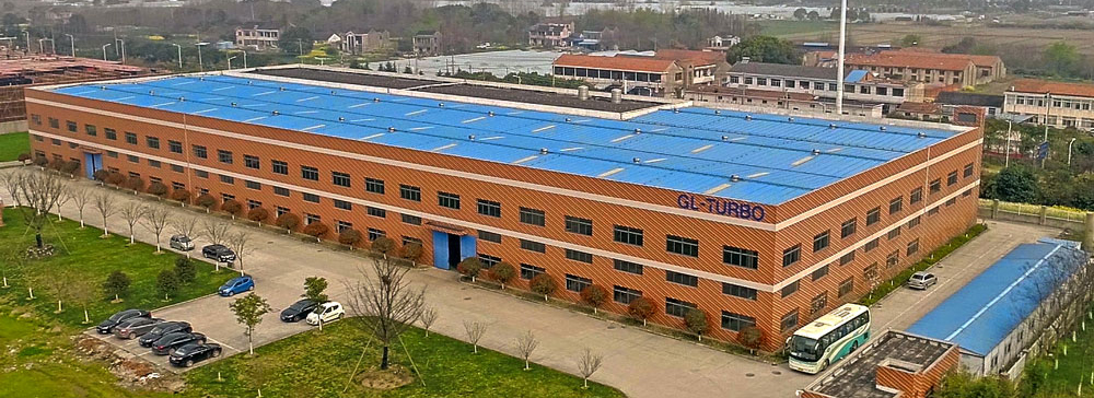 About the Company